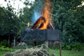 Burning logs in a brazier. Picnic time. Royalty Free Stock Photo