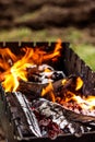 Burning logs in the grill, heat, fire, ashes. Autumn rural landscape, gloomy photo, light, macro photography. Autumn