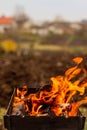 Burning logs in the grill, heat, fire, light, ashes. Autumn rural landscape, macro photography. Autumn photo, wallpapers