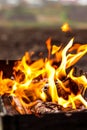 Burning logs, heat, fire, ashes. Autumn rural landscape, gloomy photo, macro photography. Autumn photo, light Royalty Free Stock Photo