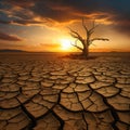 The Burning Man: A lone tree in a dry, cracked field, with the s