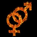 Burning Man with Woman Symbol