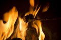 Burning marshmallow at a fireplace Royalty Free Stock Photo