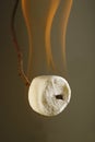 Burning marshmallow on stick Royalty Free Stock Photo