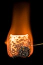 Burning marshmellow Royalty Free Stock Photo