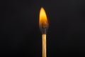 Burning match against a black background. Close-up shot Royalty Free Stock Photo