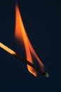 Burning match on a blue background. Royalty Free Stock Photo