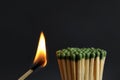 Burning match near unlit ones on background, closeup