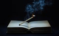 Burning Match on an Open Book: A Metaphor for the Fragility of Knowledge and the Enduring Power of Stories Royalty Free Stock Photo