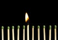 Burning match among unlit ones on background, closeup