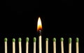 Burning match among unlit ones on background, closeup