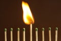 Burning match among unlit ones on background, closeup