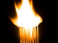 Burning matches Royalty Free Stock Photo