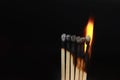 Burning matches on black background. matchsticks on fire in row of burning is sequence while one match stay down from burning to Royalty Free Stock Photo