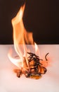 Burning matches house - games with fire ends with accident Royalty Free Stock Photo