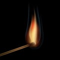 Burning matchstick Royalty Free Stock Photo