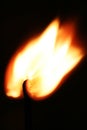 Burning matchstick Royalty Free Stock Photo