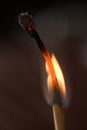 Burning matchstick in the dark Royalty Free Stock Photo