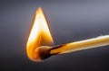 burning matchstick Royalty Free Stock Photo