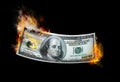 Burning money Royalty Free Stock Photo