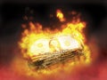 Burning money Royalty Free Stock Photo