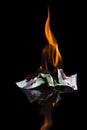 Burning money Royalty Free Stock Photo