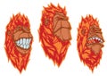 Burning monkey heads. Set of vector stickers