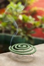 Burning mosquito coil