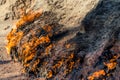 Burning Mountain Yanardag near Baku Royalty Free Stock Photo