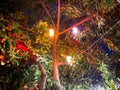 Burning multi-colored lanterns light bulbs on a tree are beautiful in a warm tropical oriental paradise country southern resort Royalty Free Stock Photo