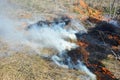 Burning off dead grass. Burn off the lawn Royalty Free Stock Photo