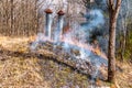 Burning off old, dry grass in the spring on a mound .of earth Royalty Free Stock Photo