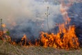 Burning old dry grass in garden. Flaming dry grass on a field. Forest fire. Stubble field is burned by farmer. Fire in