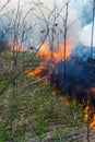 Burning old dry grass in garden. Flaming dry grass on a field. Forest fire. Stubble field is burned by farmer. Fire in