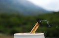 Burning palo santo stick on blurred background, closeup