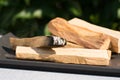 Burning palo santo sticks against green leaves as background under the sunlight. Zen concept, meditation