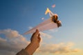 A hand holds a burning paper airplane in the background of the sky. Royalty Free Stock Photo