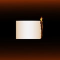 Burning paper Royalty Free Stock Photo