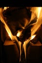 Burning paper and firewood Royalty Free Stock Photo