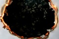 burning paper. isolated burn hole Royalty Free Stock Photo