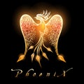 Burning Phoenix Bird on Black Background Royalty Free Stock Photo