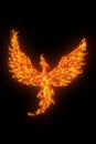 Burning phoenix isolated over black Royalty Free Stock Photo