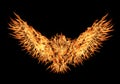 Burning Phoenix rising Royalty Free Stock Photo