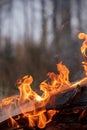 Fire flames, burning pile of cardboard and waste paper Royalty Free Stock Photo