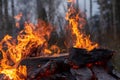 Fire flames, burning pile of cardboard and waste paper Royalty Free Stock Photo