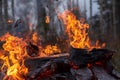 Fire flames, burning pile of cardboard and waste paper Royalty Free Stock Photo