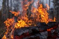 Fire flames, burning pile of cardboard and waste paper Royalty Free Stock Photo