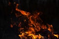 Fire flames, burning pile of cardboard and waste paper Royalty Free Stock Photo