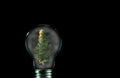 Burning pine tree inside of a light bulb with a lot of smoke. Royalty Free Stock Photo