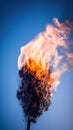 Burning plant on a blue background. Close-up. Macro. Shallow depth of field.